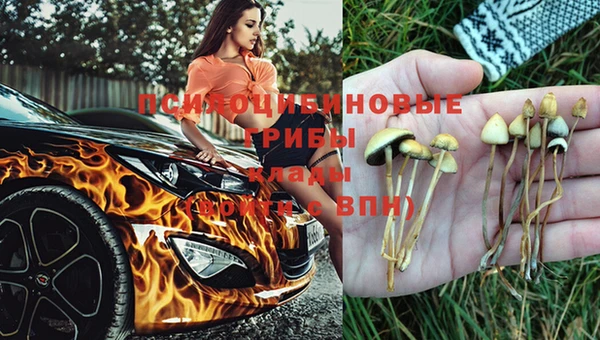 спайс Абдулино
